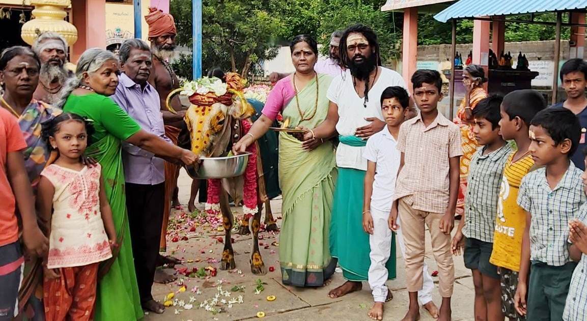 காகன்னை ஈஸ்வரர் கோவிலில் 51- நாள் கோமாதா பூஜை