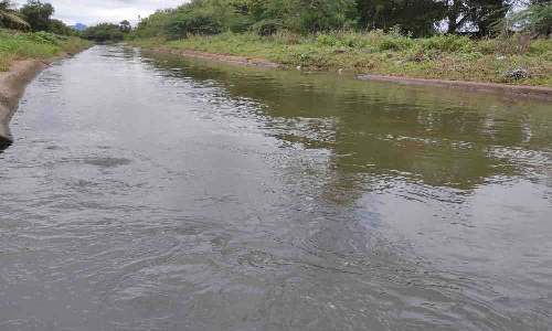 பி.ஏ.பி., கால்வாயில் இருந்து வெளியேறும் தண்ணீர்