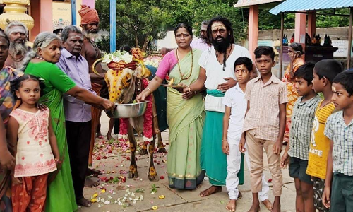 காகன்னை ஈஸ்வரர் கோவிலில் 51- நாள் கோமாதா பூஜை