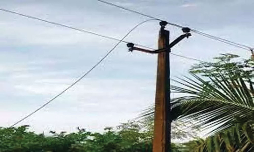 மின் கம்பி அறுந்து விழுந்ததில் பசுமாடு பலி