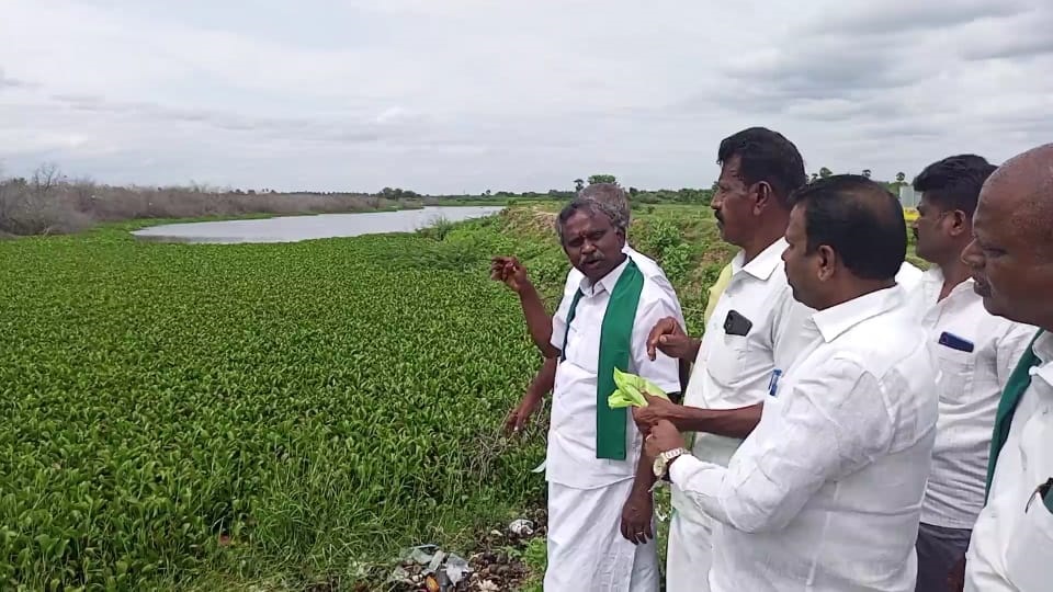 வைரிவயல் கண்மாயை போர்க்கால அடிப்படையில் தூர்வார கோரிக்கை