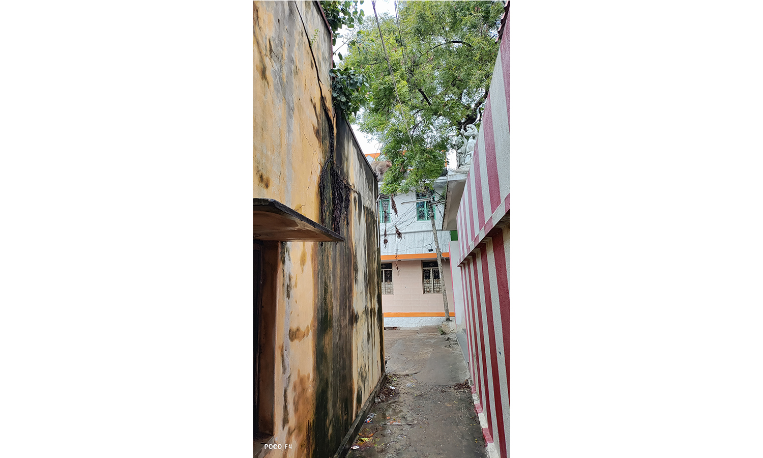 காவேரிப்பட்டிணத்தில்   இடிந்து விழும் நிலையில் உள்ள வீட்டின் சுவரால் பாதசாரிகள் அச்சம்