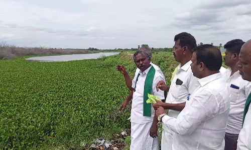 வைரிவயல் கண்மாயை போர்க்கால அடிப்படையில் தூர்வார கோரிக்கை