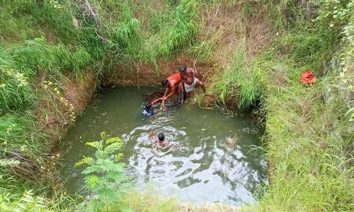 சங்கராபுரம் அருகே  கிணற்றில் தவறி விழுந்த பசு மாடு மீட்பு