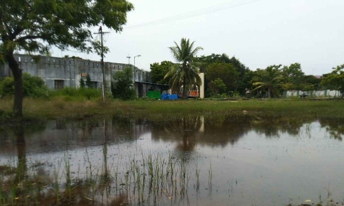 மாமல்லபுரம் அரசு மருத்துவமனை வளாகத்தில் கழிவு நீர் தேக்கம்: டெங்கு-மலேரியா பரவும் அச்சத்தில் நோயாளிகள்