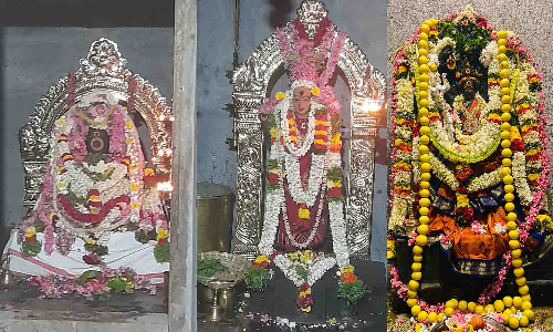 அல்லாளபுரம் உலகேஸ்வரர் கோவிலில் மண்டல பூஜை