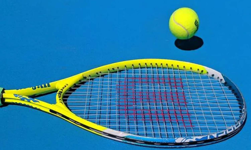 சென்னை ஓபன் மகளிர் டென்னிஸ்: தகுதி சுற்றில் இந்தியாவின் சாய் சமர்தி தோல்வி