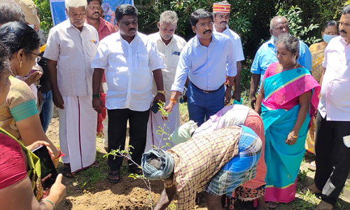 நவமால்மருதூர் ஊராட்சியில் மரக்கன்றுகளை நட்டு வைத்து அரசின் திட்ட பணிகளை  ஆய்வு செய்த கலெக்டர்