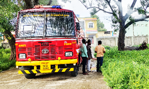 ஆற்காடு அருகே தீப்பற்றி எரிந்த புளிய மரம்