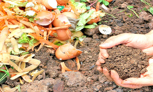 இயற்கை உரம் தயாரிக்கும் பணியில் விவசாயிகள் மும்முரம்
