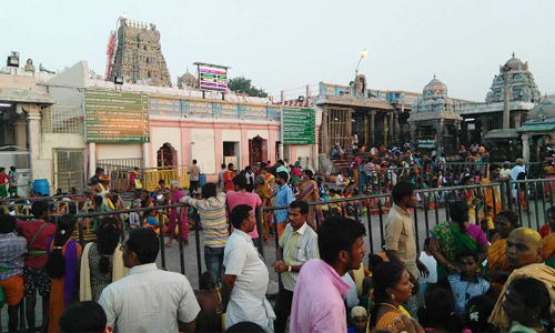 ஓணம் பண்டிகைையயொட்டி பழனியில் கேரள பக்தர்கள் வருகை அதிகரிப்பு 2 மணிநேரம் காத்திருந்து சாமி தரிசனம்