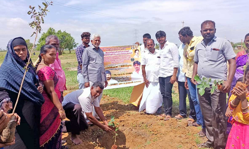 மானூர் கோவில் திருவிழாவையொட்டி ஆதரவற்றவர்களுக்கு காலை உணவு- தி.மு.க. இளைஞரணி ஆறுமுகராஜா வழங்கினார்