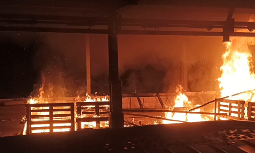 கோத்தகிரியில்   பழக்கடையில் தீ விபத்து