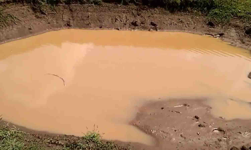 பல்லடம் அருகே குட்டையை அளவீடு செய்ய தாசில்தார் உத்தரவு