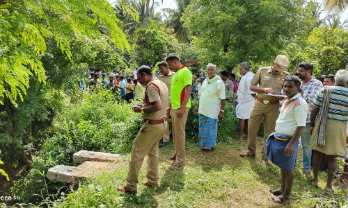 காவேரிப்பட்டணம் அருகே கிணற்றில் இறங்கி காப்பாற்ற வந்த தொழிலாளியை இறுக்கி கொன்ற மலைப்பாம்பு