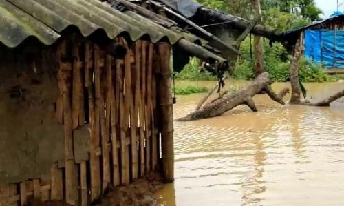 கூடலூர், பந்தலூரில் கனமழை- ஆற்றில் வெள்ளப்பெருக்கு