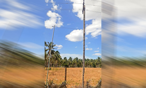 செட்டியாபத்து ஊராட்சியில்  பழுதடைந்த 3 மின்கம்பங்களை மாற்ற வேண்டும் - பொதுமக்கள் கோரிக்கை