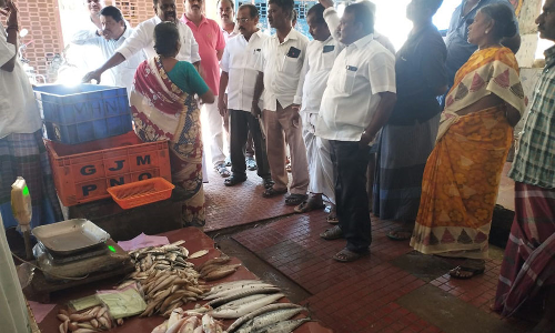 பண்ருட்டியில் இடிந்து விழும் நிலையில் மீன் மார்க்கெட்