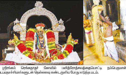 ஸ்ரீரங்கம் ரெங்கநாதர் கோவிலில் பவித்ர உற்சவம்: நம்பெருமாள் நெல்லளவு கண்டருளினார்