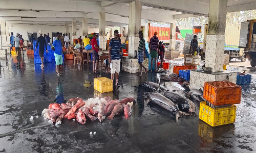 தேங்காப்பட்டணம் மீன்பிடி துறைமுகத்தில் அரசு உத்தரவை மீறி மீன் இறக்கிய விசை படகுகள் - பொதுமக்கள் எதிர்ப்பு