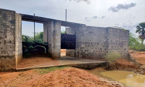 கருமேனிஆற்றின் நீர் வழித்தடத்தில் அதிகாரி நேரில் ஆய்வு