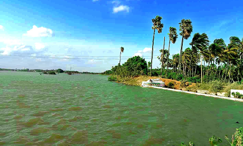 பாவூர்சத்திரம் அருகே  முழு கொள்ளளவை எட்டியது நாகல்குளம்