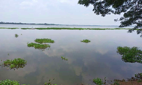 பாகூர் ஏரி அதிகபட்ச கொள்ளளவை எட்டியது