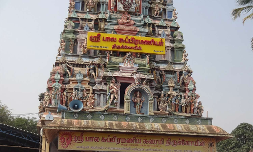 சிறுவாபுரி சிவன் கோவிலில் உழவாரப்பணி