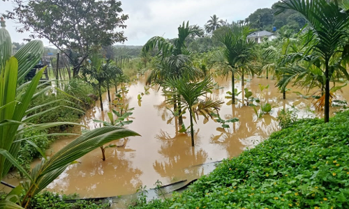 கூடலூர் அருகே விளைநிலங்களுக்குள் வெள்ளம் புகுந்தது