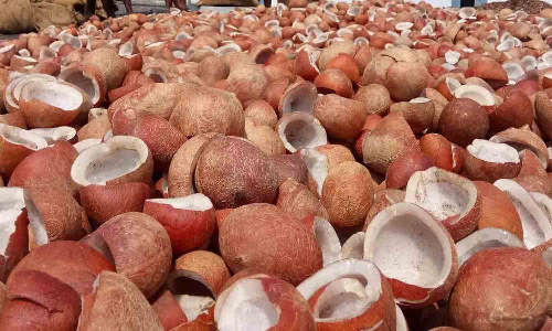 உற்பத்தி செய்யப்படும் அனைத்து கொப்பரைகளையும்    அரசு கொள்முதல் செய்ய வேண்டும்- விவசாயிகள் கோரிக்கை