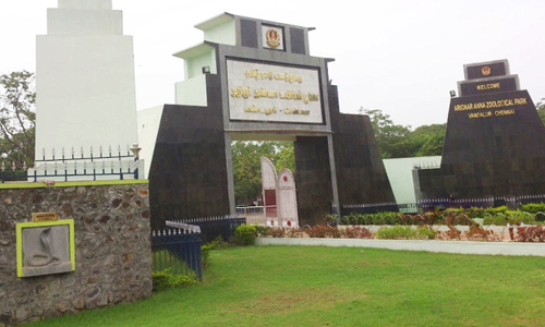 வண்டலூர் உயிரியல் பூங்காவுக்கு பார்வையாளர்கள் வருகை அதிகரிப்பு