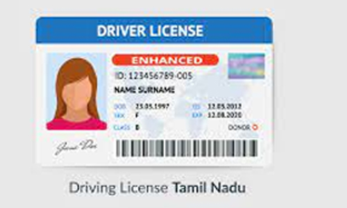 178 பேரின் டிரைவர் லைசென்ஸ் தற்காலிகமாக ரத்து