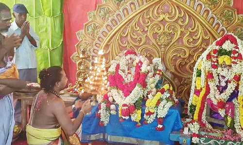 மச்சபுரீஸ்வரர் கோவிலில் சுவாமி- அம்பாளுக்கு திருக்கல்யாணம்