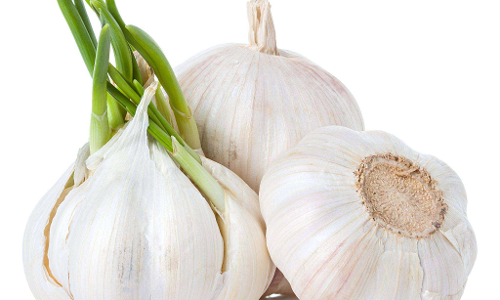 ஊட்டியில் பூண்டு கொள்முதல் விலை வீழ்ச்சி