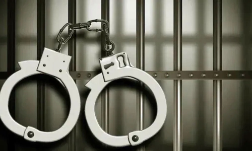 வாகன சோதனையில் சிக்கினர்- லாரியில் கனிம வளம் கடத்திய டிரைவர்கள் 2 பேர் கைது