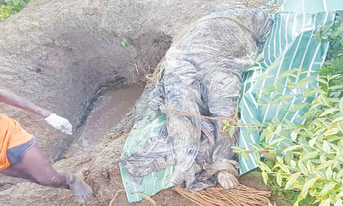 முன்னாள் ராணுவ வீரர் உடல் தோண்டி எடுப்பு