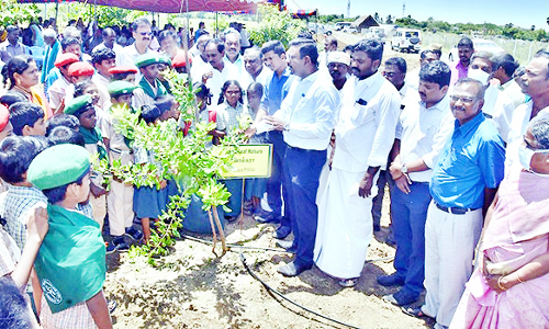 விருட்சவனம் உருவாக்கப்பட்டு ஓராண்டு நிறைவு; மாணவர்களுடன் பார்வையிட்டு விளக்கமளித்த கலெக்டர்