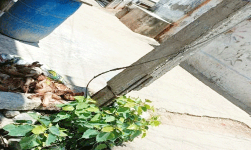 சாணார்பட்டி அருகே பொதுமக்களை அச்சுறுத்தும் சேதமடைந்த மின் கம்பங்கள்