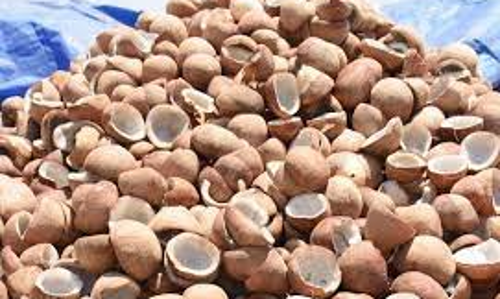 தேங்காய் கொப்பரையை கொள்முதல் செய்ய அரசு முடிவு - கலெக்டர் தகவல்