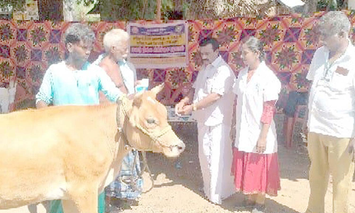 கால்நடை சிறப்பு முகாம்