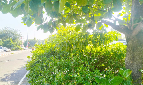 திண்டுக்கல் ரெயில் நிலையத்தில் குடிமகன்கள், சமூகவிரோதிகள் அட்டகாசத்தால் பயணிகள் அச்சம்