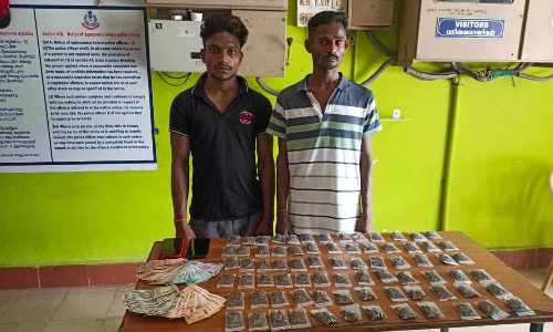 கஞ்சா விற்ற 2 வாலிபர்கள் கைது