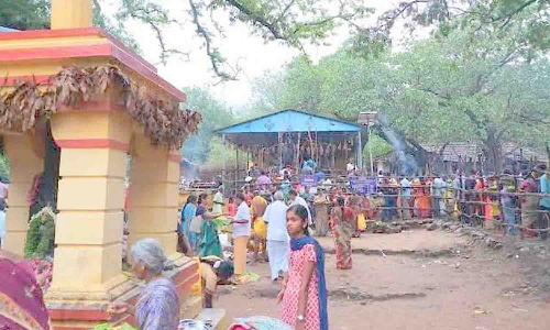 உடுமலை வனப்பகுதியில் உள்ள ஏழுமலையான் கோவிலில் தரிசனம் செய்ய குவிந்த  பக்தர்கள்