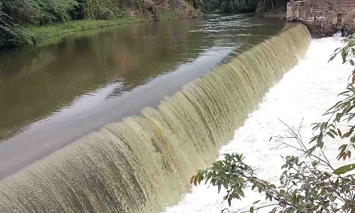 எலையமுத்தூர் பகுதியில் தண்ணீர் திருட்டை தடுக்காவிட்டால் போராட்டம் - விவசாயிகள் அறிவிப்பு