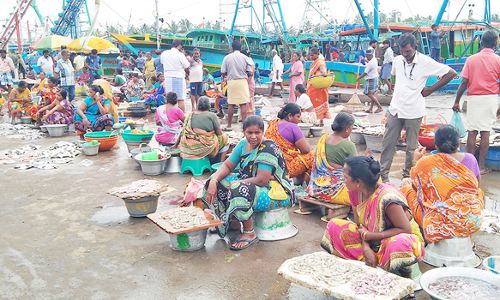 புரட்டாசி மாதம் இன்று தொடங்கியது: கடலூர் துறைமுகத்தில் மீன்கள் வாங்காமல் வெறிச்சோடி காணப்பட்டது