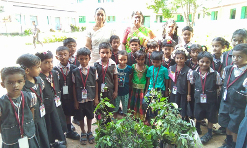 சுப்பையா அம்பலம் பள்ளியில் ஓசோன் தின விழா