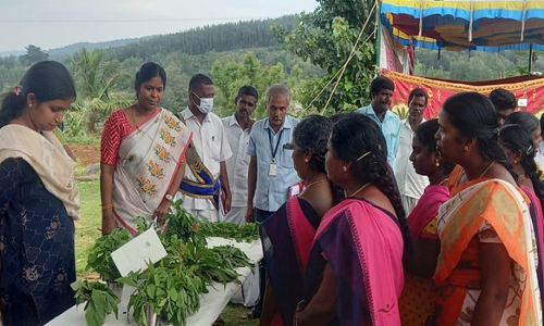 ஏற்காடு மலை கிராமத்தில் அண்ணா மறுமலர்ச்சி திட்ட ஒருங்கிணைப்பு முகாம்