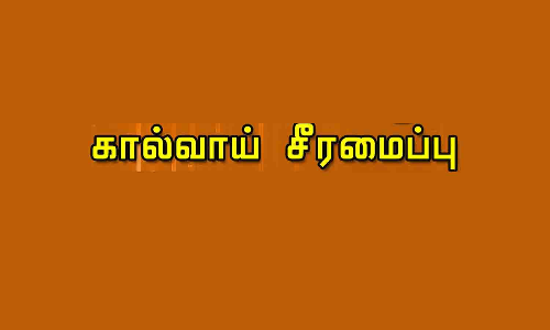 ஓசூர் மூக்கண்டபள்ளியில்  ஆக்கிரமிப்புகளால் சூழப்பட்டிருந்த ராஜ கால்வாய் சீரமைப்பு