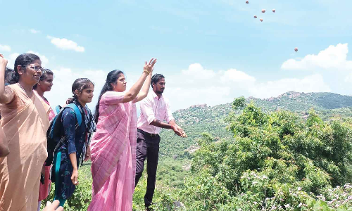 வேலூர் பாலமதி மலையில் விதை பந்துகள் வீச்சு