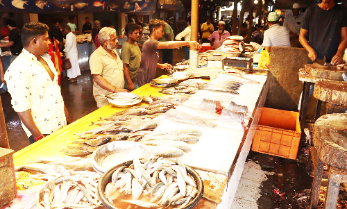 மீன், இறைச்சி கடைகள் வெறிச்சோடியது